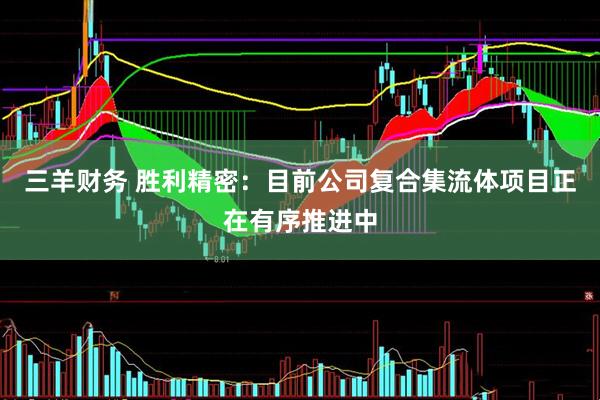 三羊财务 胜利精密：目前公司复合集流体项目正在有序推进中