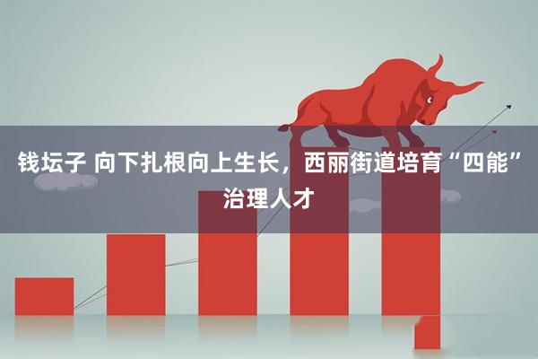 钱坛子 向下扎根向上生长，西丽街道培育“四能”治理人才
