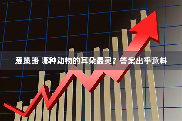爱策略 哪种动物的耳朵最灵？答案出乎意料