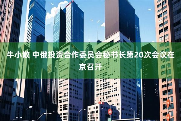 牛小散 中俄投资合作委员会秘书长第20次会议在京召开