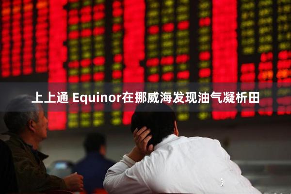 上上通 Equinor在挪威海发现油气凝析田