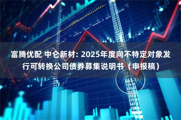 富腾优配 中仑新材: 2025年度向不特定对象发行可转换公司债券募集说明书（申报稿）